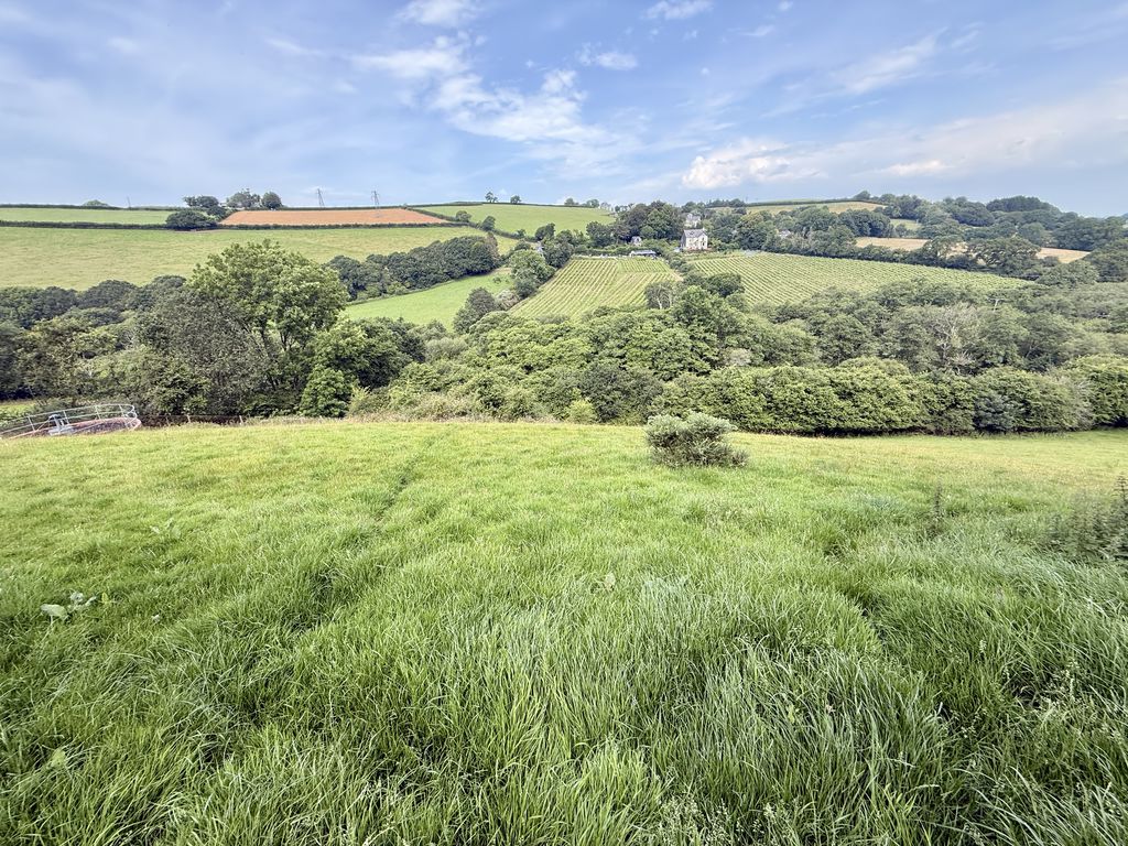  Trewidland